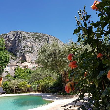 Bastide Des Oliviers Bed & Breakfast Moustiers-Sainte-Marie Ngoại thất bức ảnh