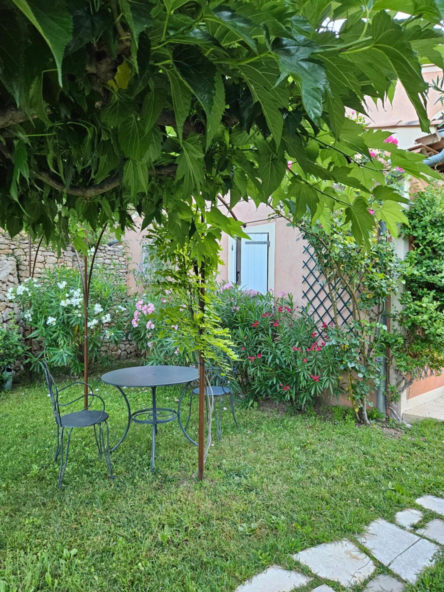 Bastide Des Oliviers Bed & Breakfast Moustiers-Sainte-Marie Ngoại thất bức ảnh