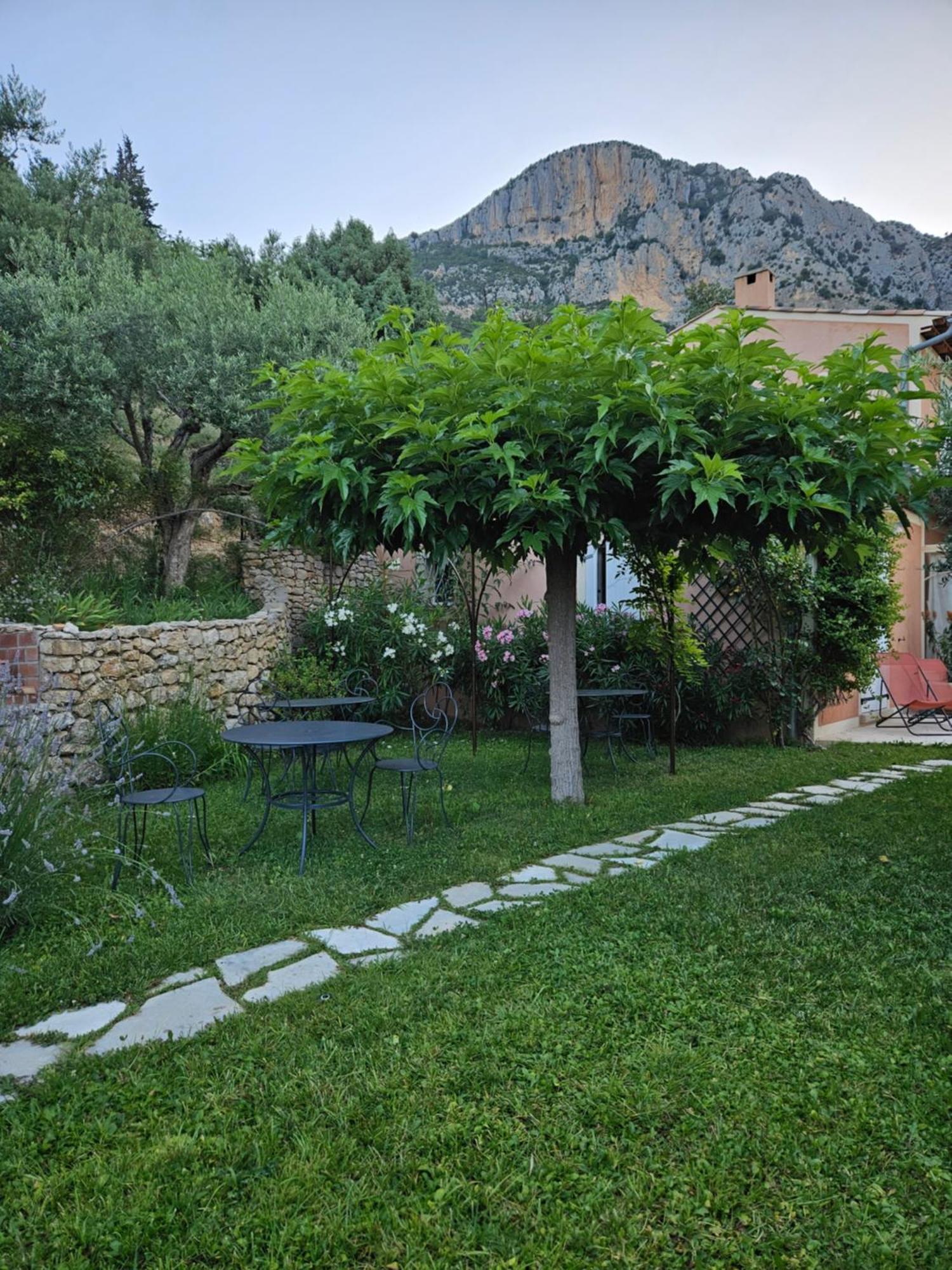 Bastide Des Oliviers Bed & Breakfast Moustiers-Sainte-Marie Ngoại thất bức ảnh